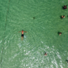Paseo a la Ilha do Campeche desde Barra da Lagoa con actividades acuáticas como kayak y SUP.