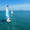 aula de vela Ponta das Canas, aprender a navegar Floripa, paseo en velero, escuela de vela aula de vela Ponta das Canas, velejar em Floripa, escola de vela, atividade com veleiro