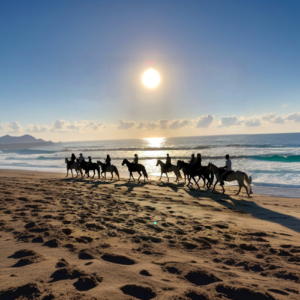 cabalgata, cavalgada, paseo a caballo, passeio a cavalo, Floripa a caballo, naturaleza, horseback riding cavalgada, passeio a cavalo, andar a cavalo, Florianópolis natureza, horseback riding